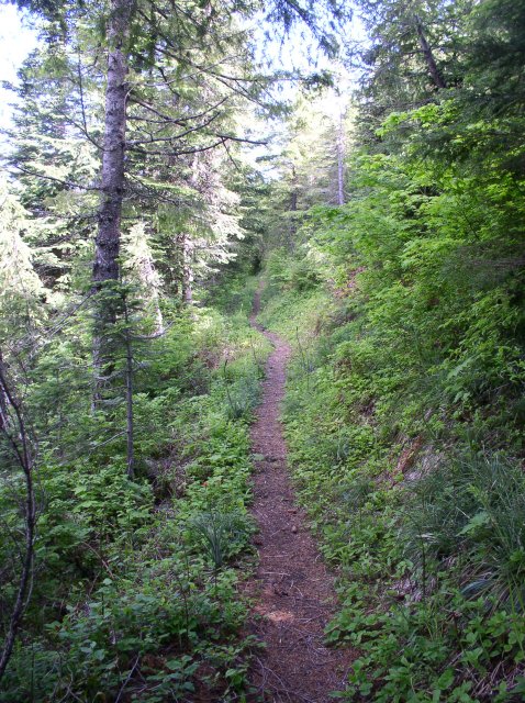 6.10.06 Table Mtn_3CR 169 